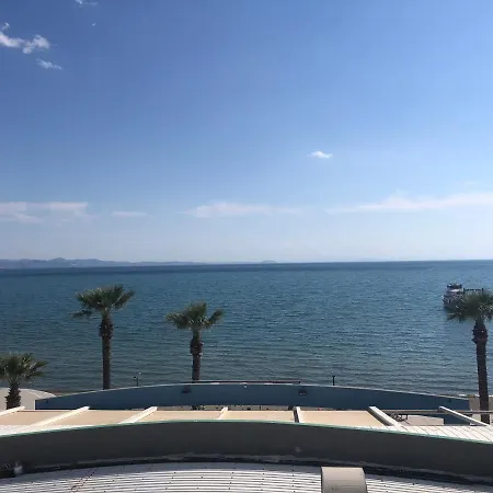 Ozsoy